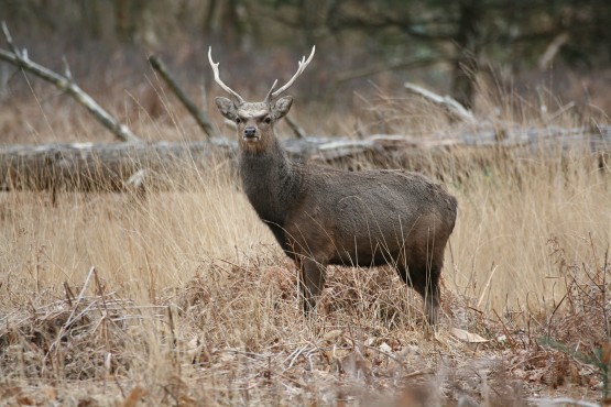 Almanac Image Sept 2025