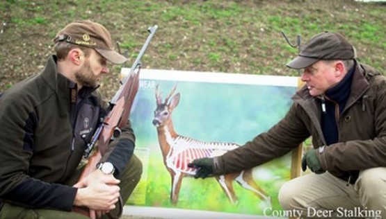 Best Shot Placement On Deer