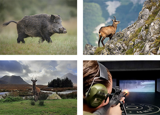 Capreolus Club events 2023